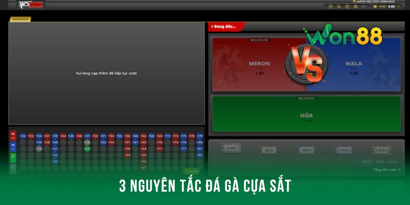 3 nguyên tắc cơ bản cần biết về đá gà cựa sắt