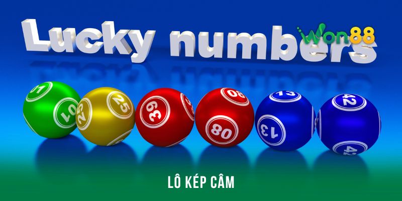 Các loại lô kép xuất hiện phổ biến trên thị trường hiện nay