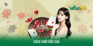 Cách chơi bầu cua chuẩn giúp thắng lớn dành cho tân binh