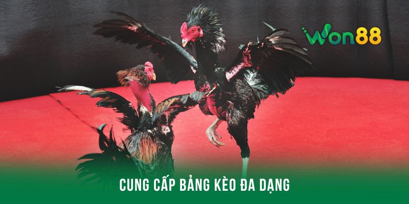 bảng kèo đa dạng và phong phú để bạn thoải mái lựa chọn