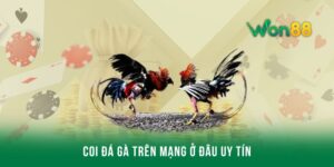 Coi đá gà trên mạng ở đâu uy tín, an toàn và bảo mật?