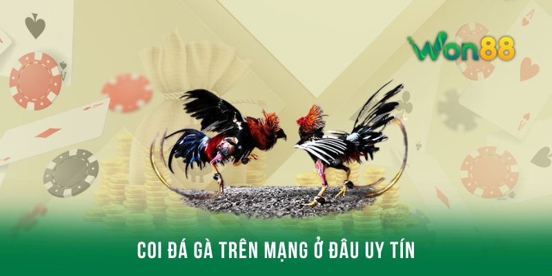 Coi đá gà trên mạng ở đâu uy tín, an toàn và bảo mật?