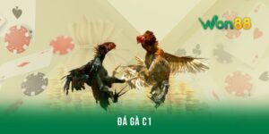 Đá gà C1 - Giải đấu thú vị tại nhà cái Won88