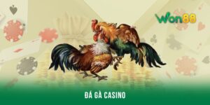 Đá gà casino - Tham gia đặt cược là có quà