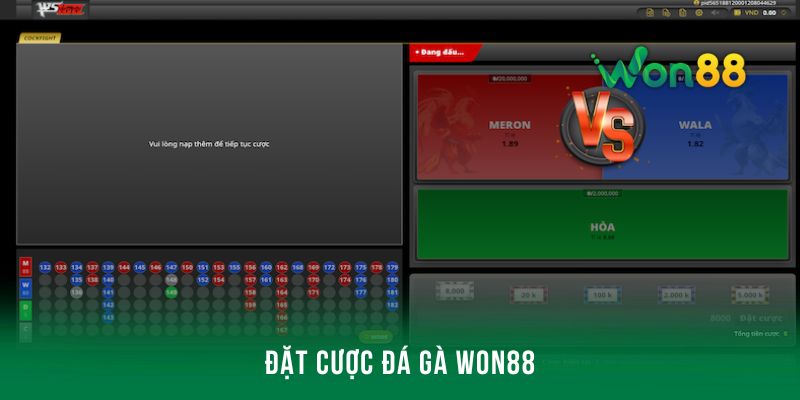 Đặt cược tại các trận đấu đá gà Won88