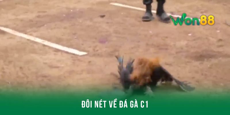 Đôi nét về trò chơi cá cược đá gà C1