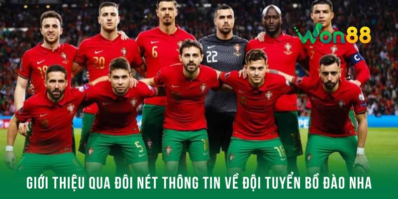 Giới thiệu qua đôi nét thông tin về đội tuyển Bồ Đào Nha