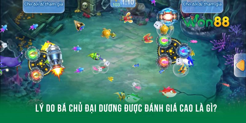 Lý do bá chủ đại dương được đánh giá cao là gì?