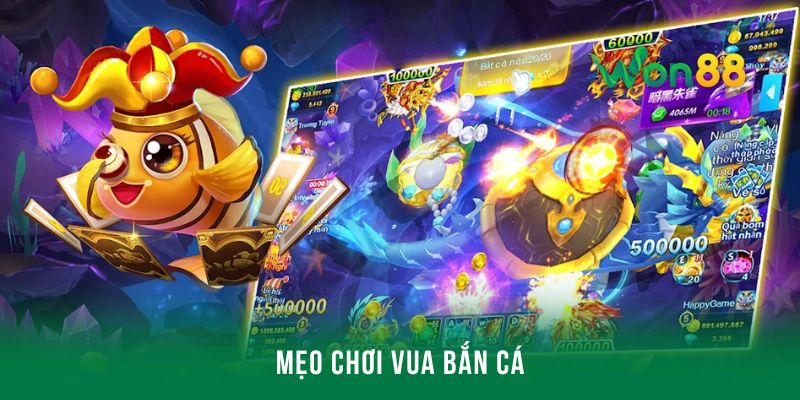 Tìm hiểu mẹo đi săn cá hiệu quả nhất cho mọi người