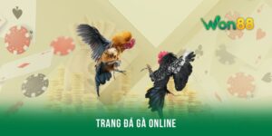 Trang đá gà online uy tín - Tiêu chí lựa chọn web an toàn