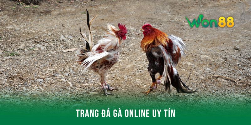 Trang đá gà online uy tín