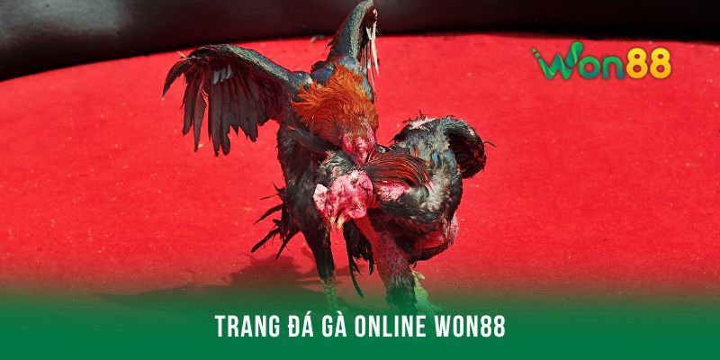Trang đá gà online Won88