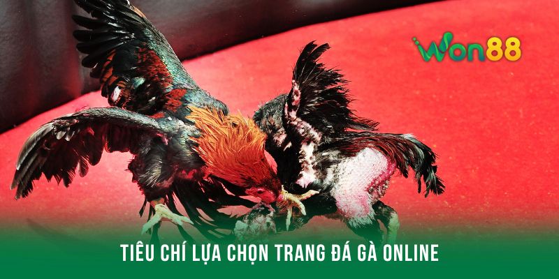 Tiêu chí lựa chọn trang đá gà online an toàn
