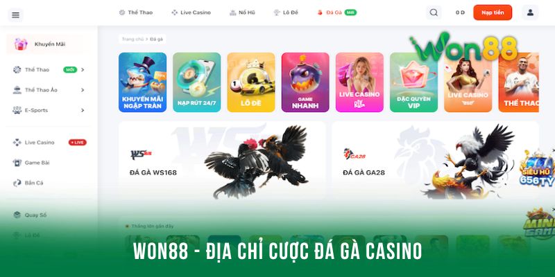 Won88 - Địa chỉ đăng ký đá gà casino hợp pháp
