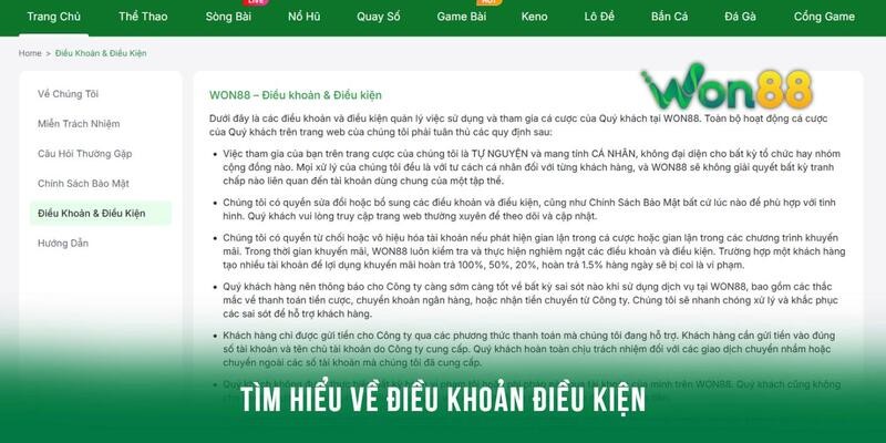 Tìm hiểu về chính sách điều khoản điều kiện cho người mới